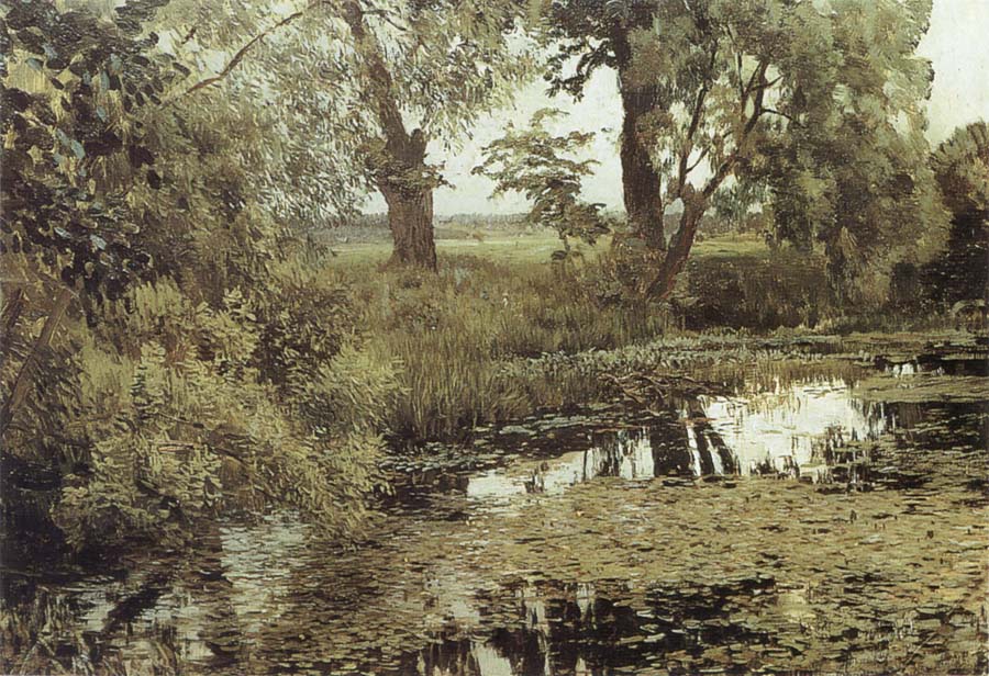 Overgrown Pond